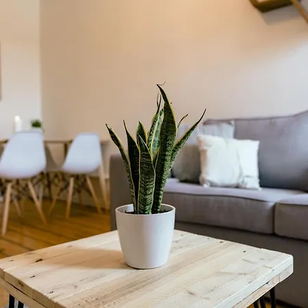 Apartment Eigene Im Stadtzentrum Mit Wunderschoener Dachterrasse Biel